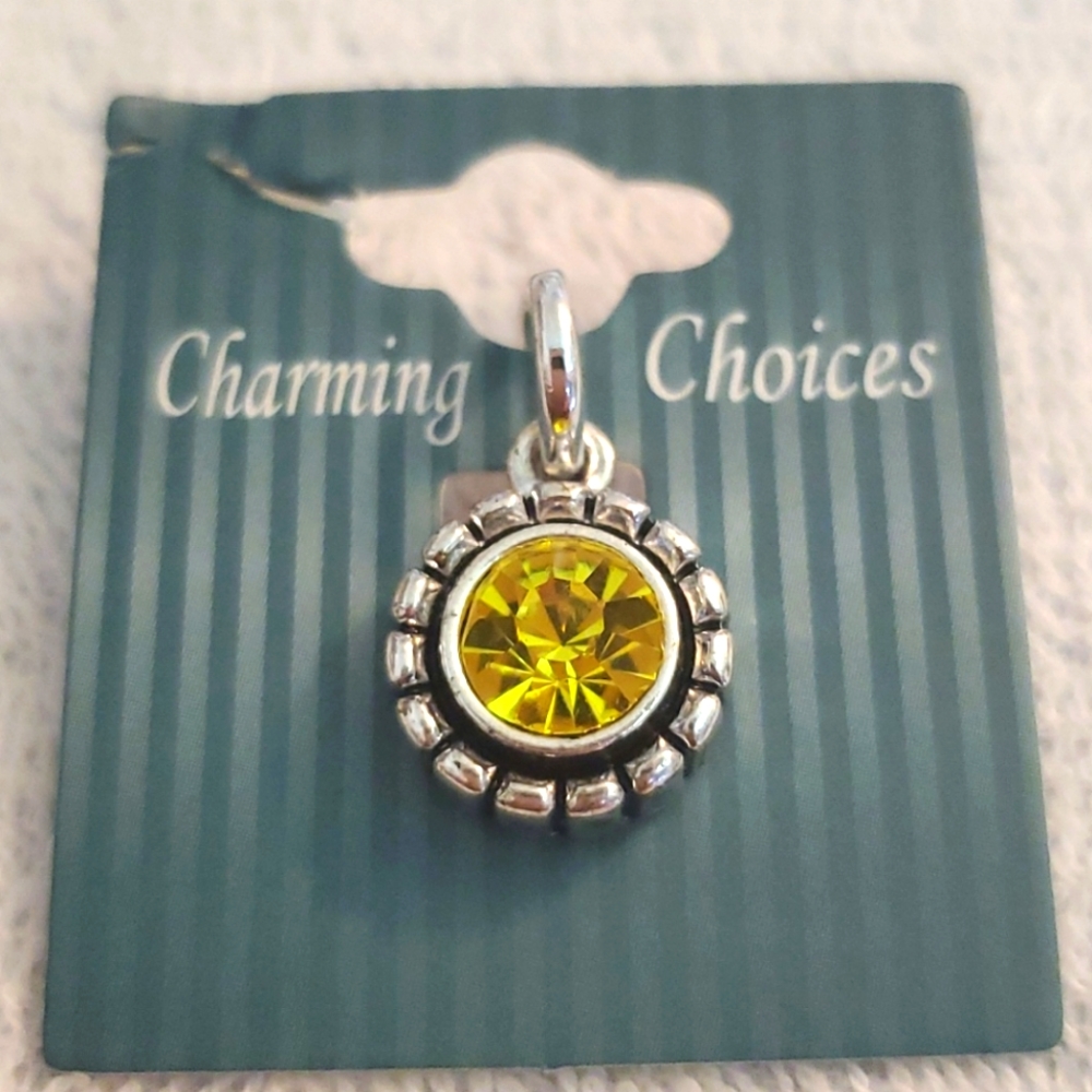 🍐NEW Birthstone Pendant Necklace